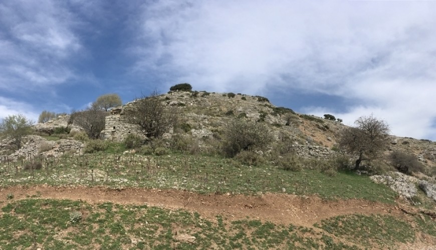 Στόχος του 2ου Εργαστηρίου (29 Ιουλίου - 5 Αυγούστου) η λειτουργία της Σχολής μαθητείας της τέχνης της πέτρας