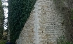 kryoneri_5.jpg
