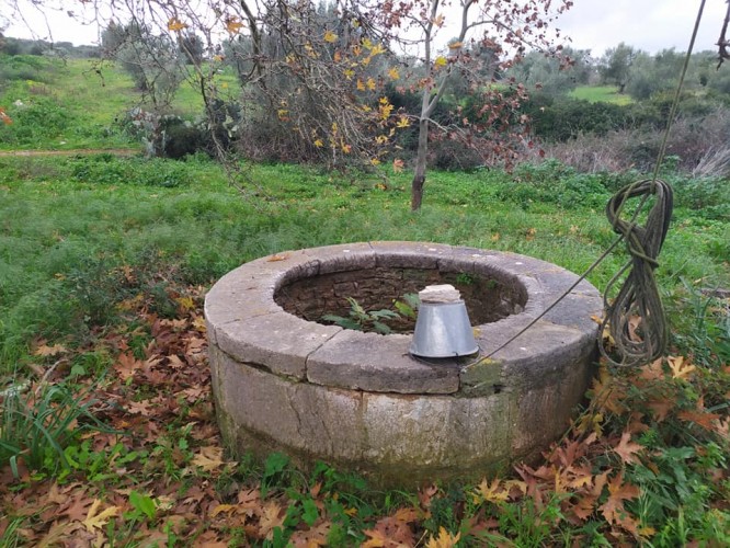 Πέτρινο πηγάδι στο Μυστράκι Μεσσηνίας